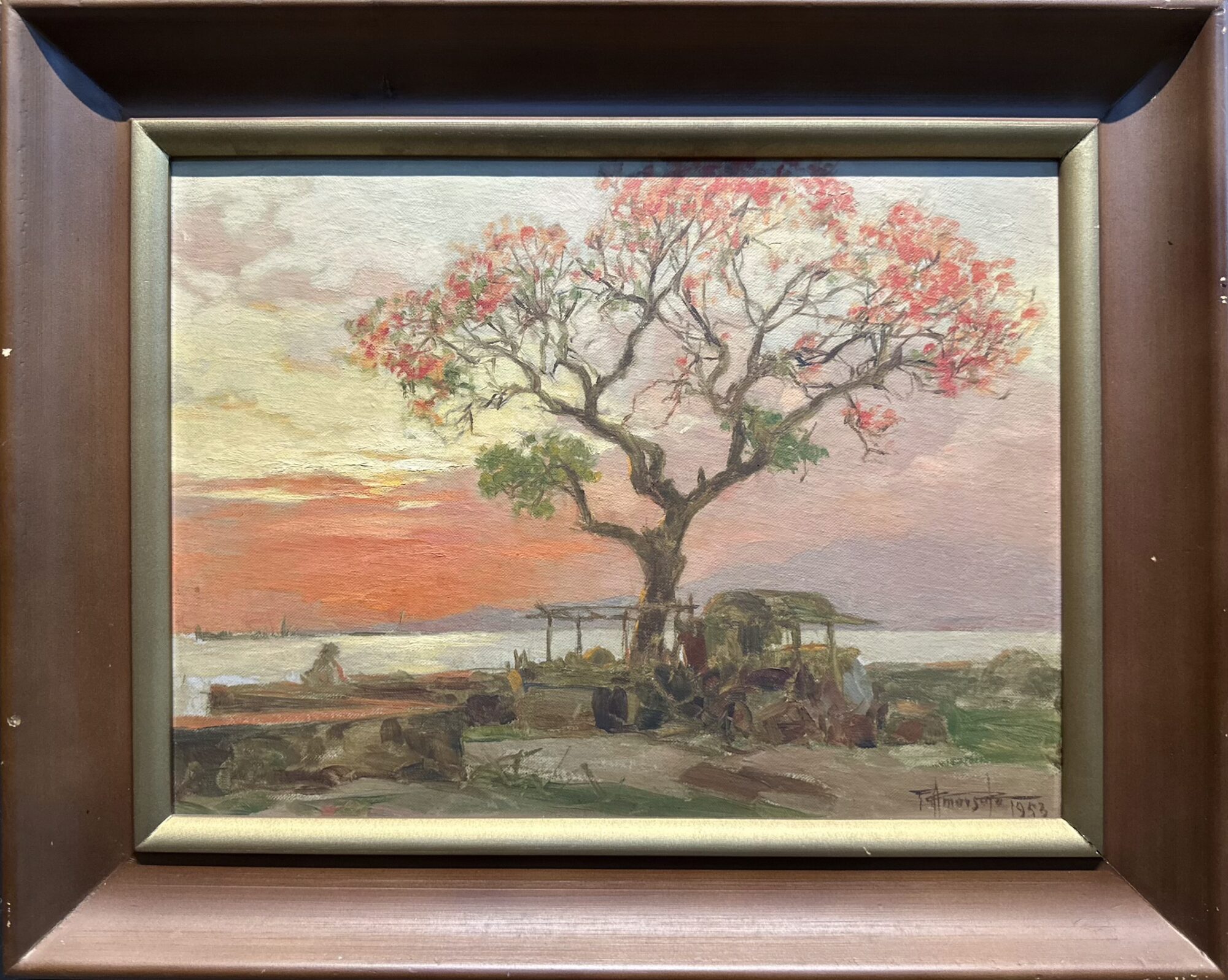 Flame Tree at Sunset on Manila Bay